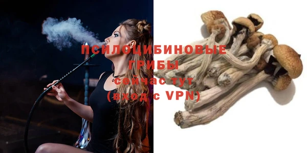 сатива Абдулино