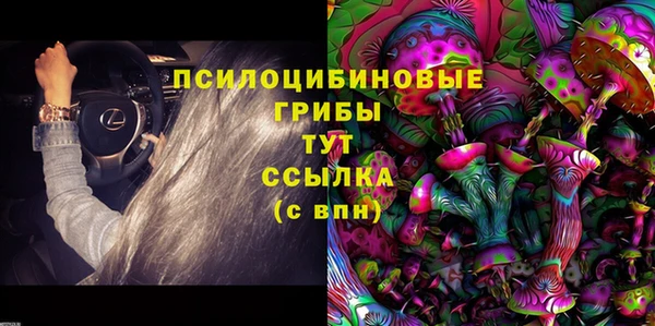 PSILOCYBIN Абинск