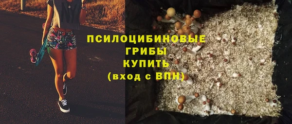 PSILOCYBIN Абинск